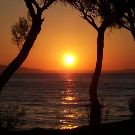 Palazzo Vecchio Exclusive